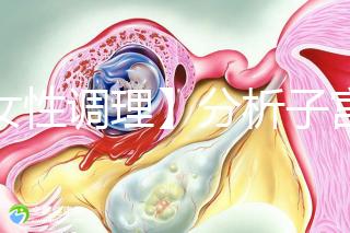 【女性調(diào)理】分析子宮壁薄的四個(gè)常見原因,教你三招對(duì)癥下藥可以快速改善!