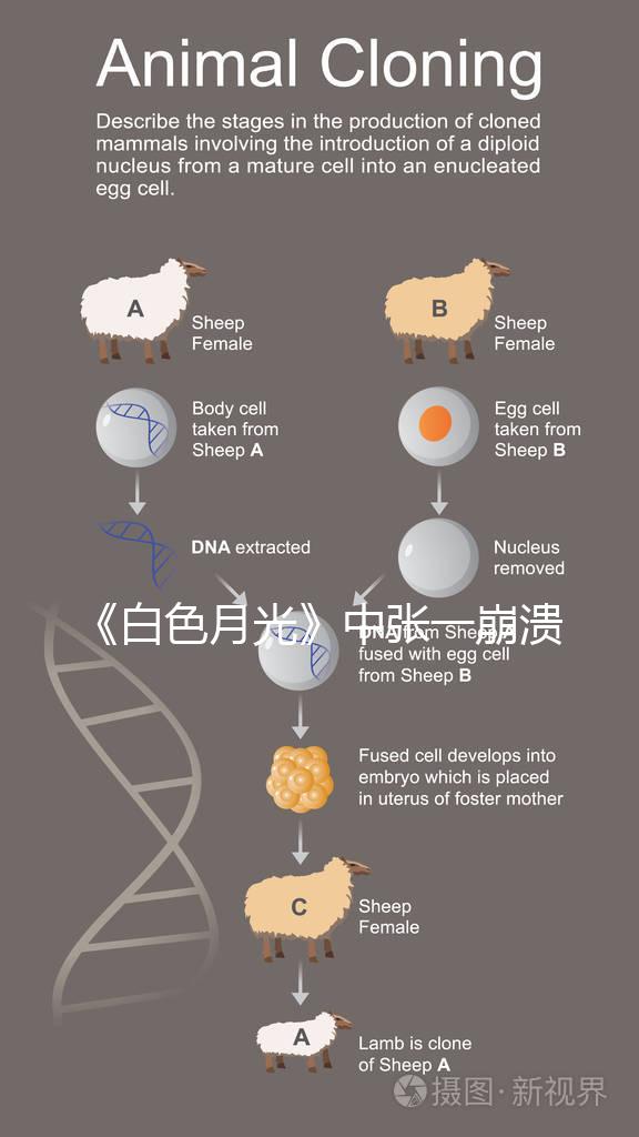 《白色月光》中張一崩潰在孩子面前哭，你認為該不該？