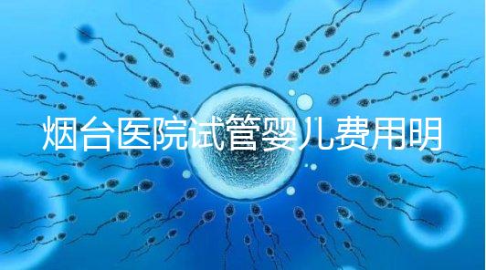煙臺(tái)醫(yī)院試管嬰兒費(fèi)用明細(xì),各流程都要花多少錢心中有數(shù)