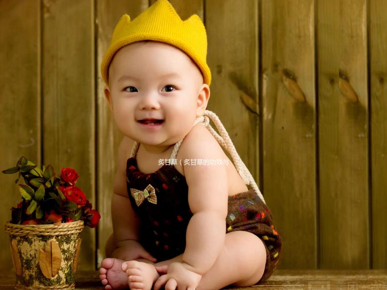 炙甘草(炙甘草的功效與作用)