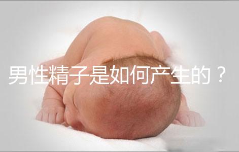 男性精子是如何產(chǎn)生的？