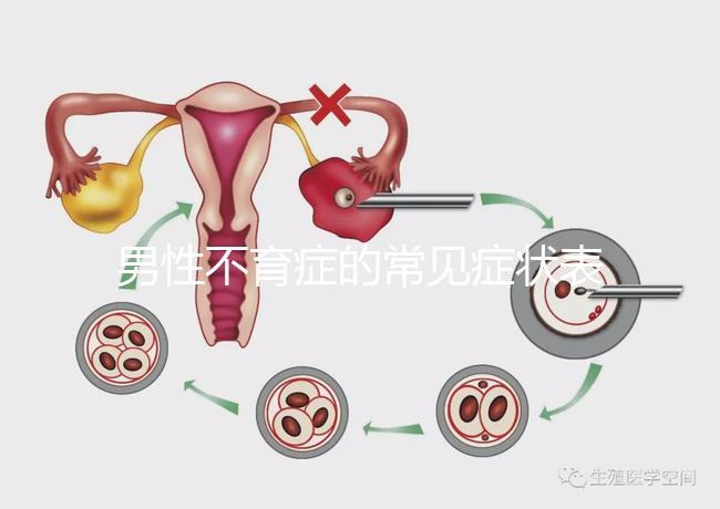 男性不育癥的常見癥狀表現(xiàn)