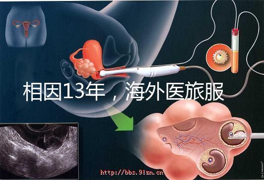 相因13年,海外醫旅服務標準制定者
