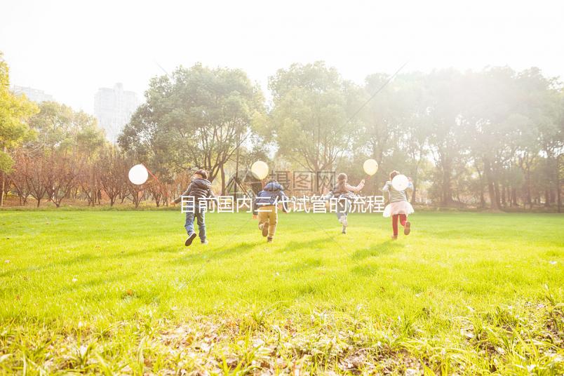 目前國內三代試管的流程是怎樣?