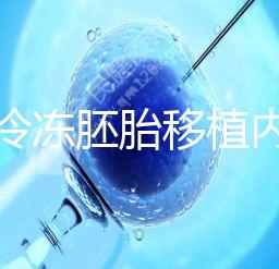 看看冷凍胚胎移植內膜的準備方案這些要求需要提前了解