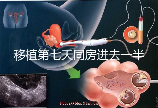 移植第七天同房進(jìn)去一半有無(wú)影響戳,沒出血問(wèn)題就不大