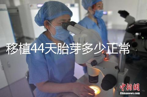 移植44天胎芽多少正常?胎芽長(zhǎng)度和孕周對(duì)照表一覽