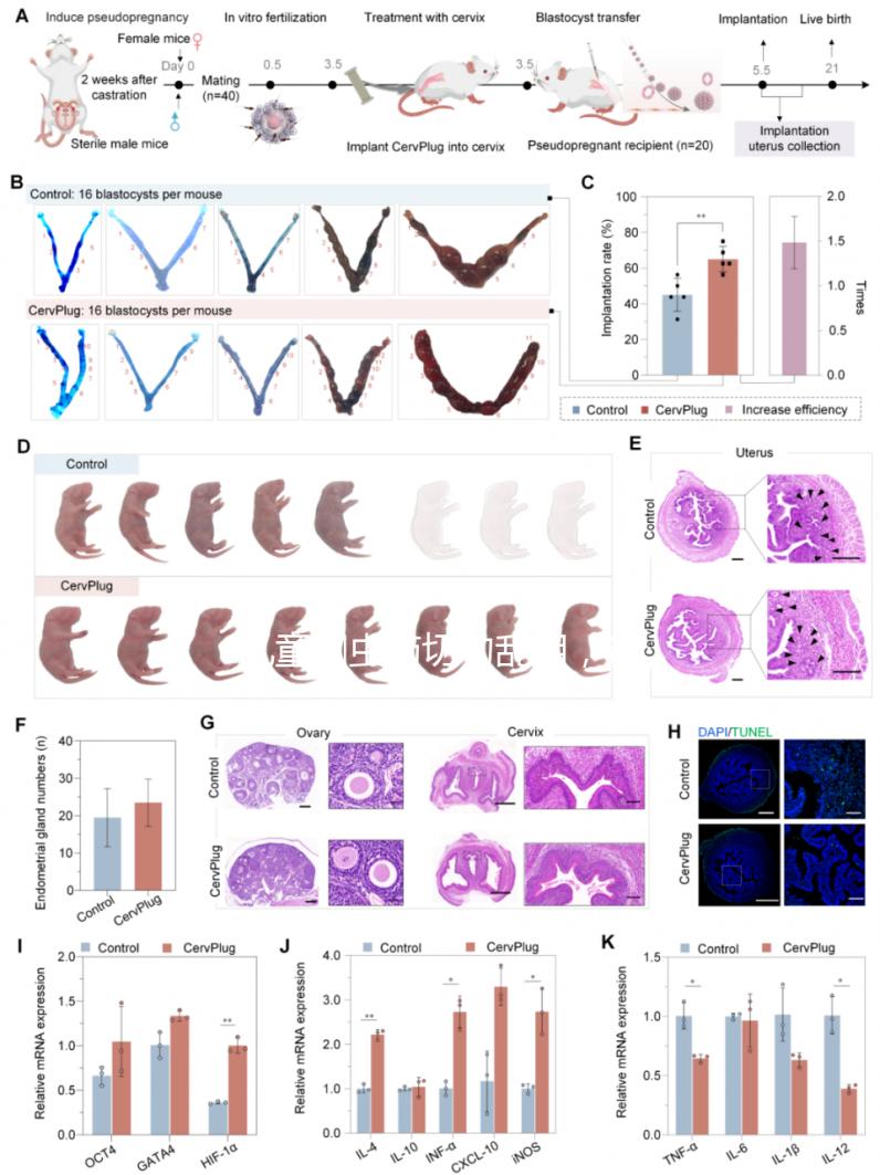 兒童蛔蟲藥切勿亂用，這樣吃才是正確的打開方式