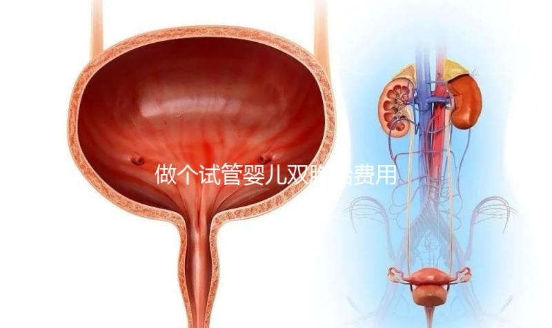 做個試管嬰兒雙胞胎費用大概要多少錢?