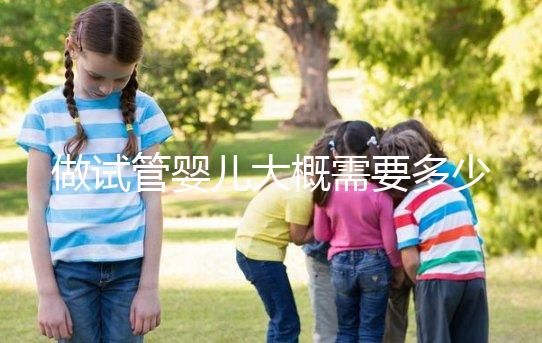 做試管嬰兒大概需要多少錢？2024年全國試管嬰兒費用標準詳單！