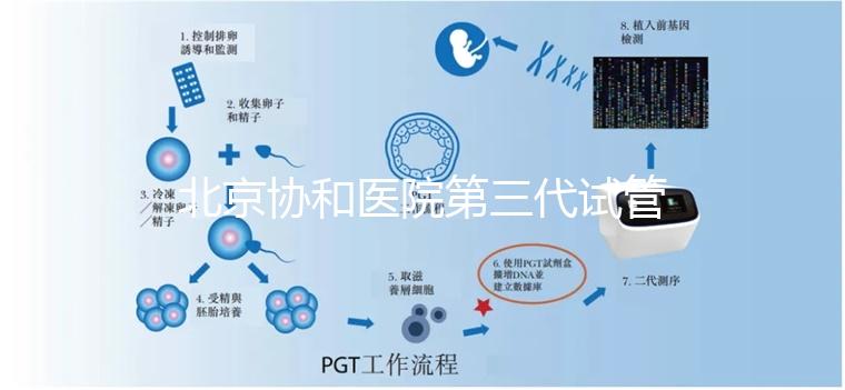 北京協(xié)和醫(yī)院第三代試管成功率解析：年齡與成功率關(guān)系詳解（2025數(shù)據(jù)）