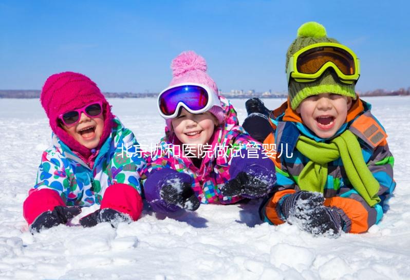 北京協(xié)和醫(yī)院做試管嬰兒需多少錢?附試管價格表