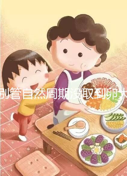 別管自然周期沒取到卵大夫當(dāng)時(shí)會(huì)不會(huì)說了,沒通知這么辦