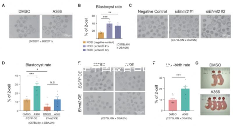 哪家是中國最著名的不孕不育醫院，包括正規機構的排名
