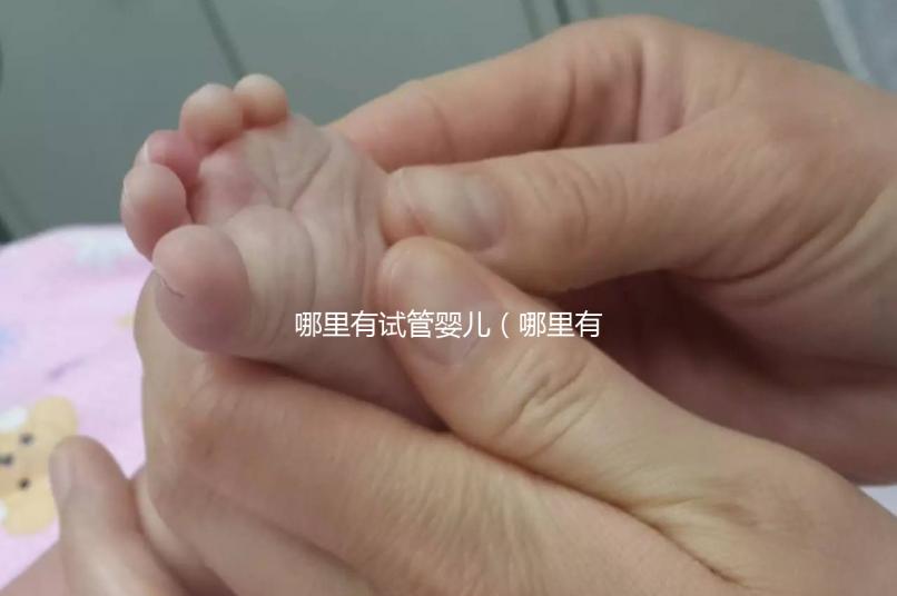 哪里有試管嬰兒(哪里有試管嬰兒的醫(yī)院)