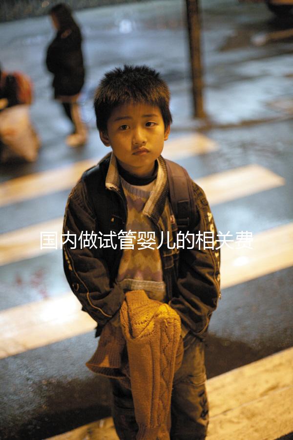 國內做試管嬰兒的相關費用、條件、指征