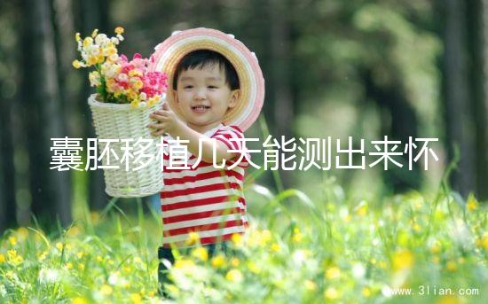 囊胚移植幾天能測出來懷孕?