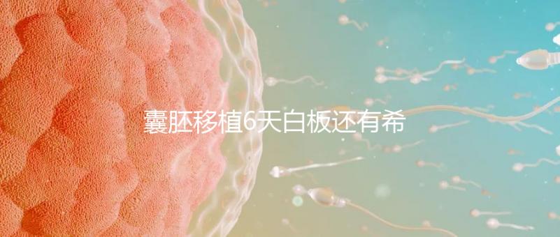 囊胚移植6天白板還有希望嗎?別沮喪該來的總是會來的