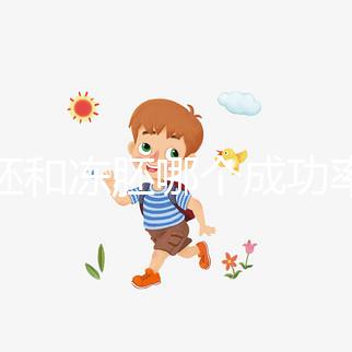 囊胚和凍胚哪個成功率高？試管移植選擇策略解析