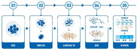 圖解:試管嬰兒手術(shù)全過程