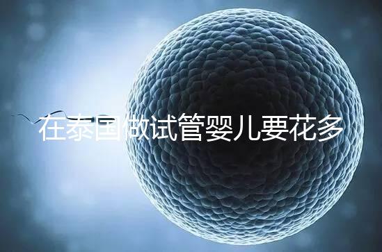 在泰國(guó)做試管嬰兒要花多少錢?一位助孕顧問(wèn)的深夜坦白