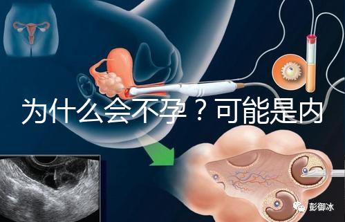 為什么會不孕?可能是內分泌失調在搗亂!