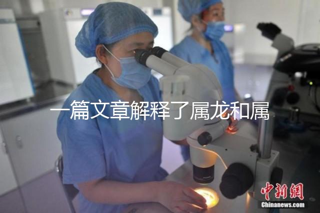 一篇文章解釋了屬龍和屬兔的人能否在一起，他們將如何全部包括在內