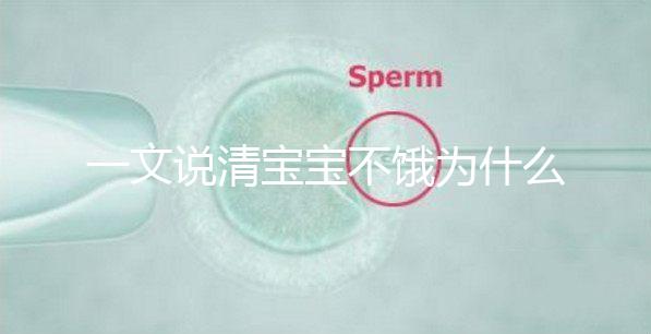 一文說(shuō)清寶寶不餓為什么瘋狂找奶，找準(zhǔn)原因才好解決