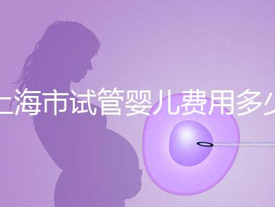 上海市試管嬰兒費用多少錢?2025年最新價格明細及影響因素