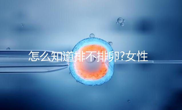 怎么知道排不排卵?女性朋友們可從這6點(diǎn)進(jìn)行判斷