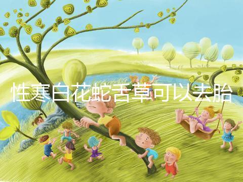 性寒白花蛇舌草可以去胎毒別亂吃!小心流產(chǎn)找上門