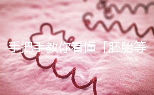 手把手教你看懂「胚胎等級報告」,不做試管嬰兒懵星人