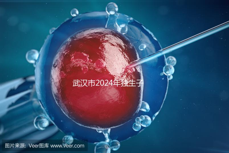 武漢市2024年獨(dú)生子女補(bǔ)貼政策已經(jīng)實(shí)施，領(lǐng)取流程更加規(guī)范