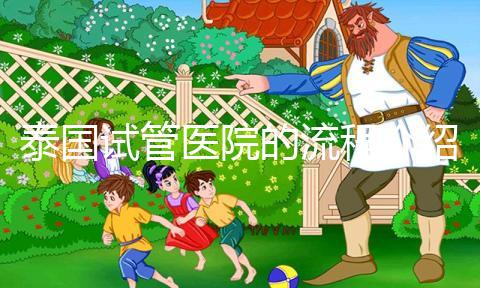 泰國試管醫(yī)院的流程介紹,9個步驟全部完成