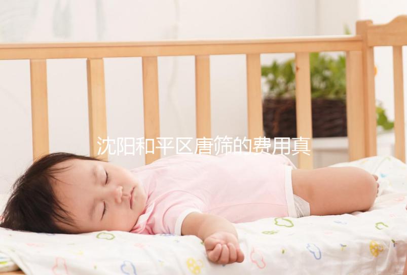 沈陽(yáng)和平區(qū)唐篩的費(fèi)用真的不貴!政府支付2024年合格的費(fèi)用