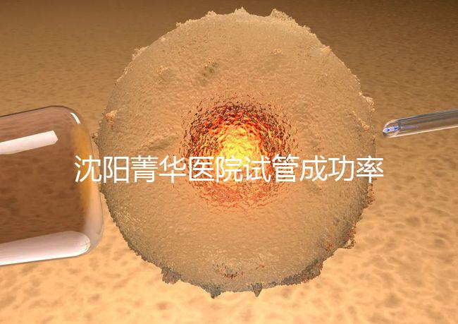 沈陽菁華醫院試管成功率高嗎?教你4招提升胚胎著床機會