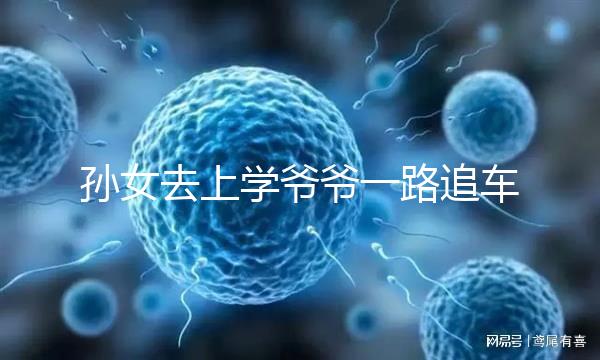 孫女去上學(xué)爺爺一路追車告別，網(wǎng)友：上了年紀淚點更低了