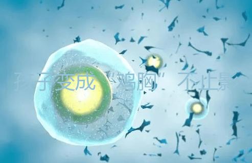 孩子變成“雞胸”不止影響身高，這3大危害不可不知