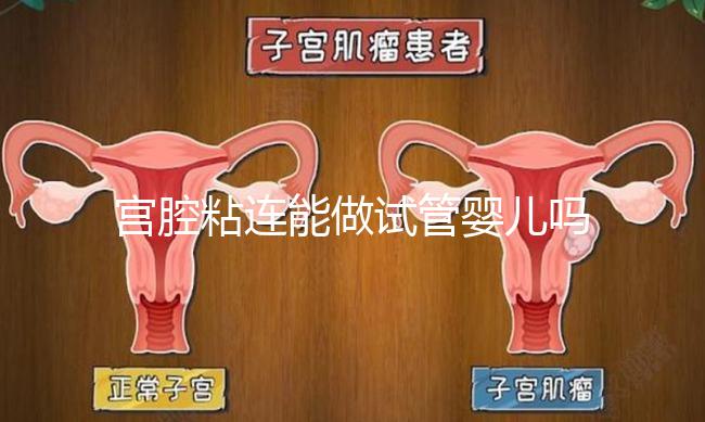 宮腔粘連能做試管嬰兒?jiǎn)幔▽m腔粘連能自愈嗎)