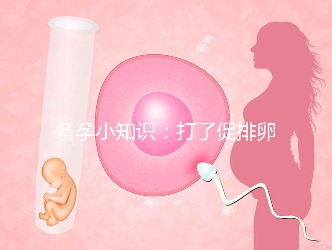 備孕小知識(shí)：打了促排卵針多久卵泡會(huì)破呢？