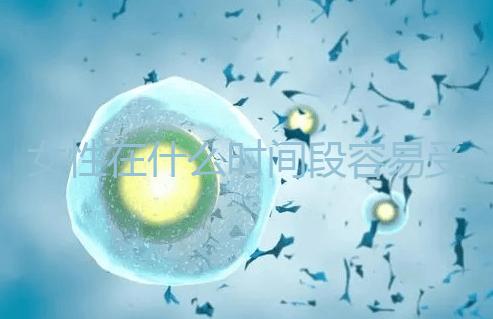 女性在什么時(shí)間段容易受孕成功