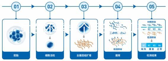 女性懷孕半個月的表現(xiàn)有哪些