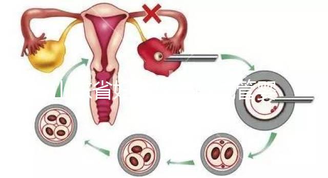 山東省婦幼保健院試管嬰兒怎么樣，新版助孕成功率數據公布