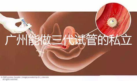 廣州能做三代試管的私立醫(yī)院排名一覽表,看看你心儀的在不在其中