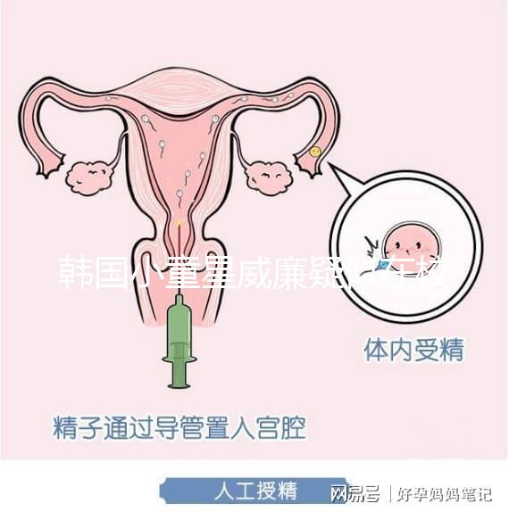 韓國小童星威廉疑似在校被霸凌？父親Sam辟謠：凹高冷人設
