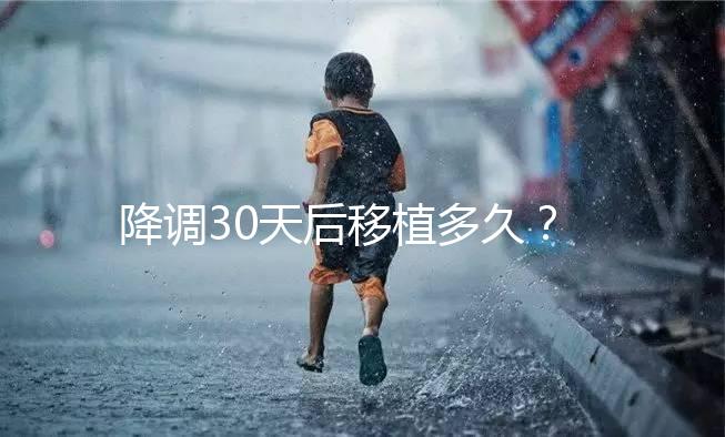 降調30天后移植多久？什么時候可以同房喝酒？