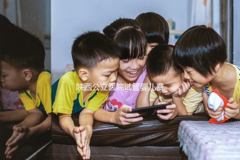 陜西公立醫院試管嬰兒費用明細表，2024助孕一次多少錢看這