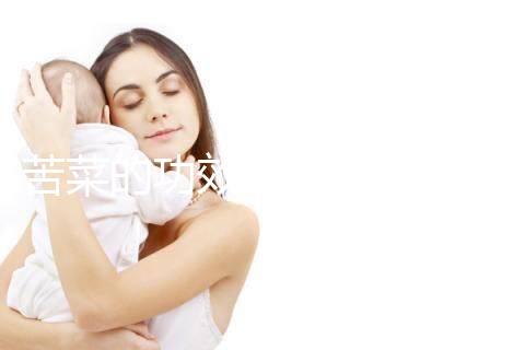 苦菜的功效與作用(苦菜的功效與作用圖片野菜)