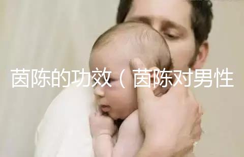 茵陳的功效(茵陳對男性性功能好嗎)