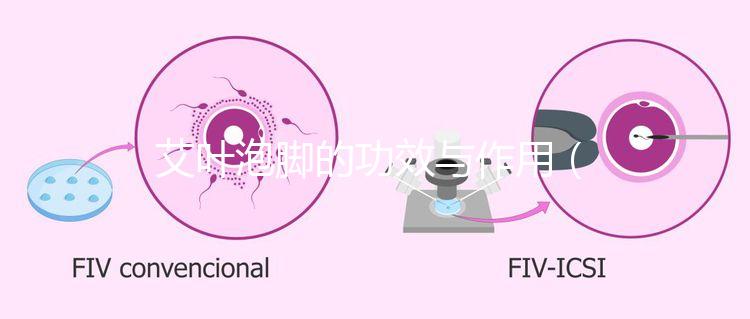艾葉泡腳的功效與作用(艾葉泡腳的功效與作用泡腳的好處)